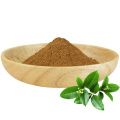 Extrait de thé vert naturel pur EGCG en vrac polyphénol